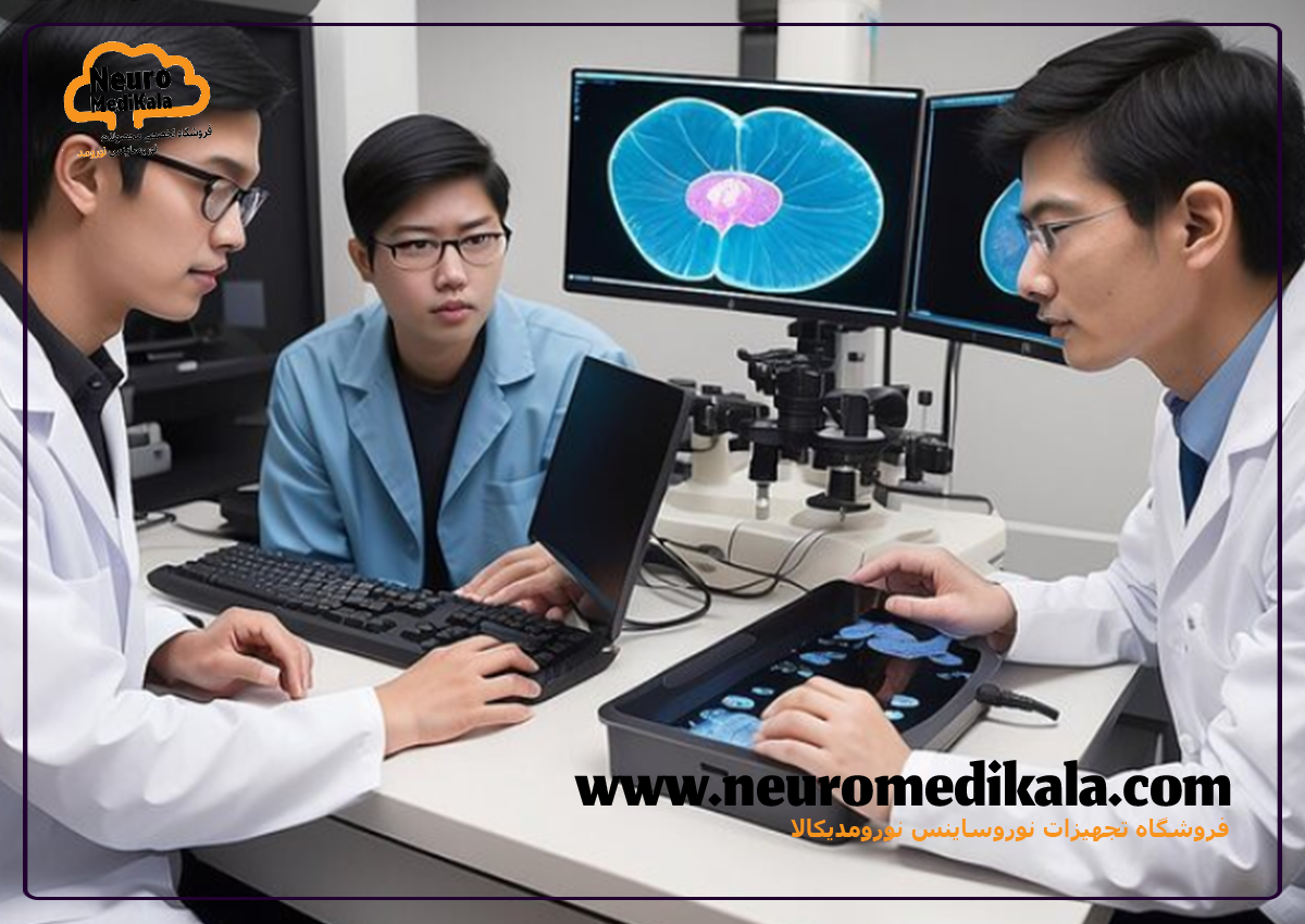 tDCS در تحقیقات و تقویت شناختی